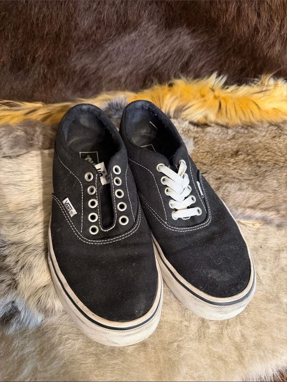 Vans Black Canvas Low-Top Skate Sneakers 9 (5240)